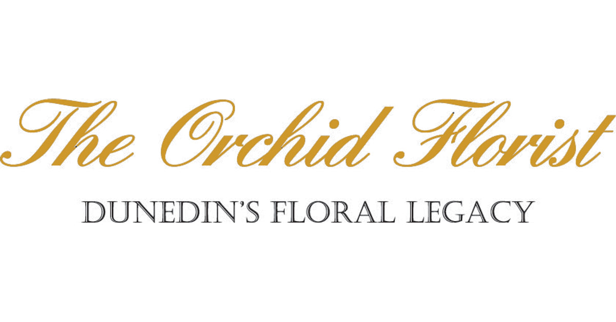 Orchid Florist