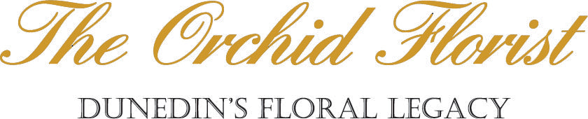 The Orchid Florist Dunedin