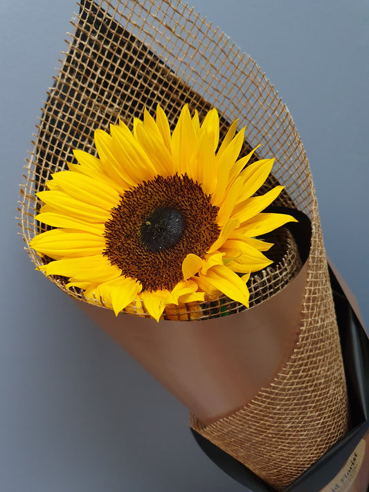 Gift-Wrapped Single Bloom