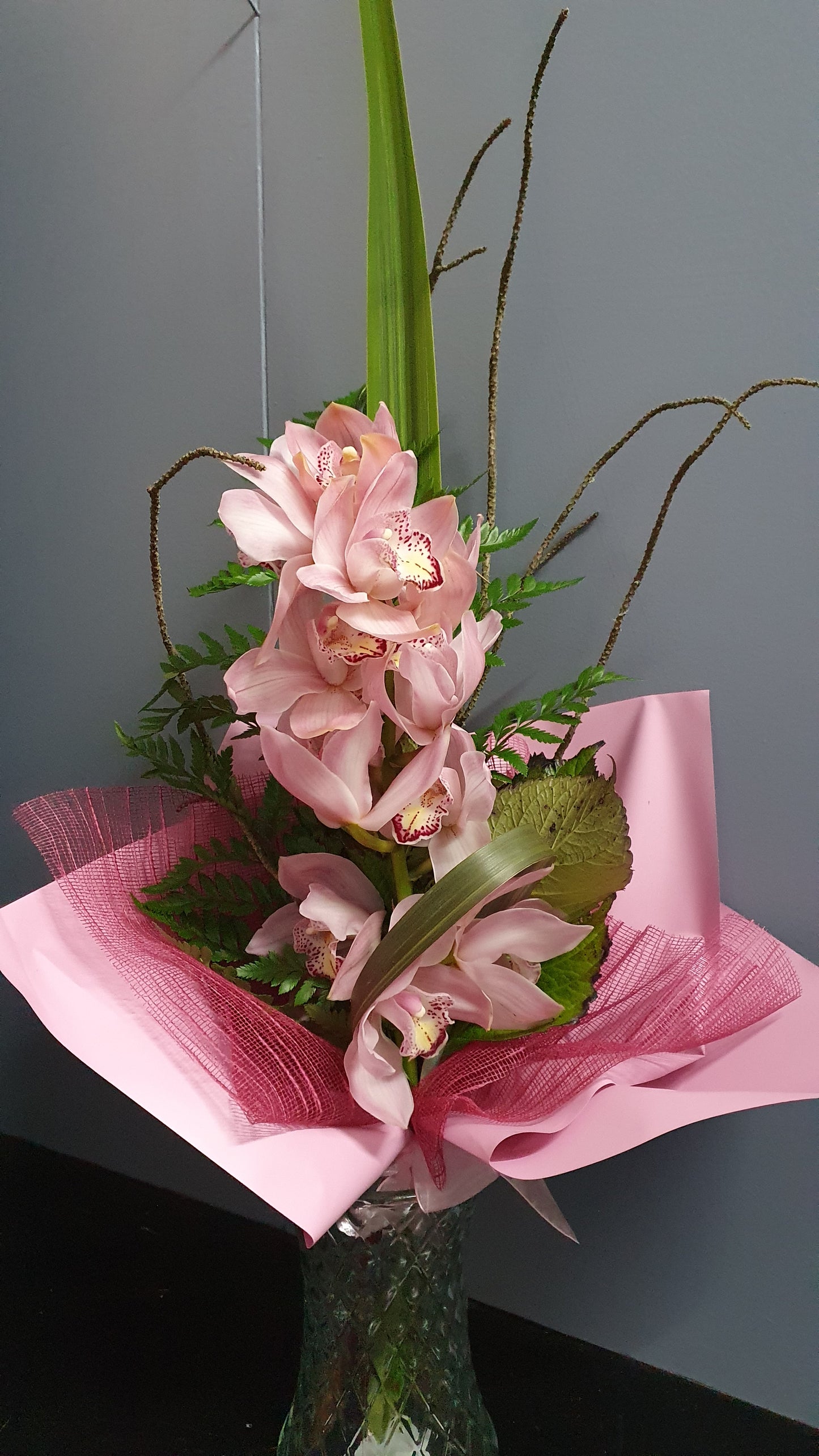 Gift-Wrapped Single Stem of Cymbidium Orchid