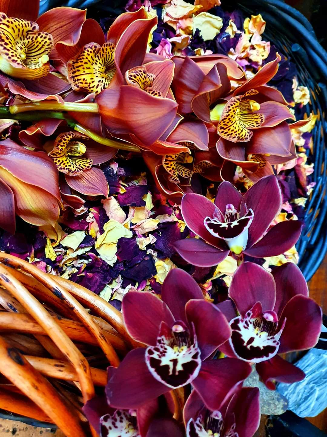 Potpourri
