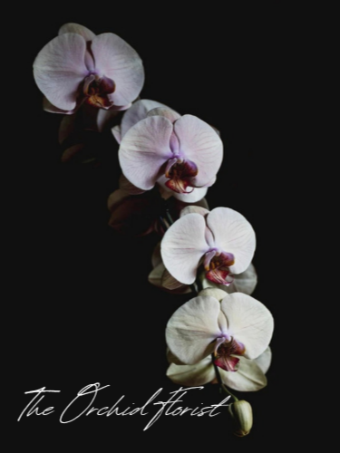 Orchid Florist Designer T-Shirt